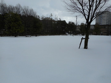 DSCN0100
