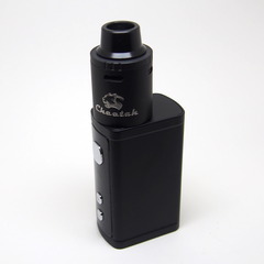 obs_cheetah_rda023