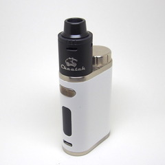 obs_cheetah_rda024