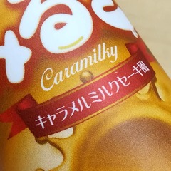 vapelog-caramilky-103313