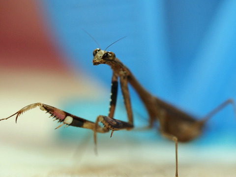 PB175472_1