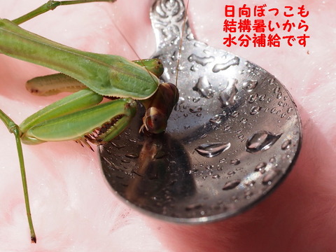 P3100376_1ooo