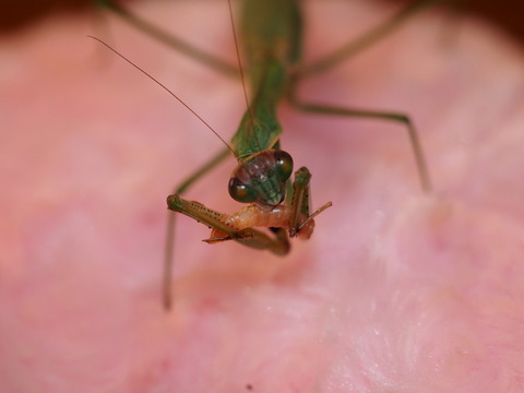 P3070009_1