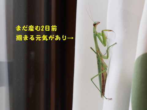 P3069977_1ooo