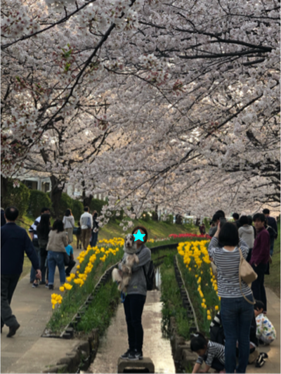 190407-9