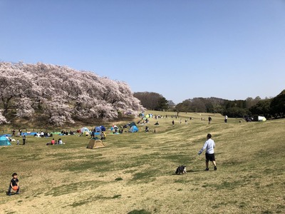 190406-4