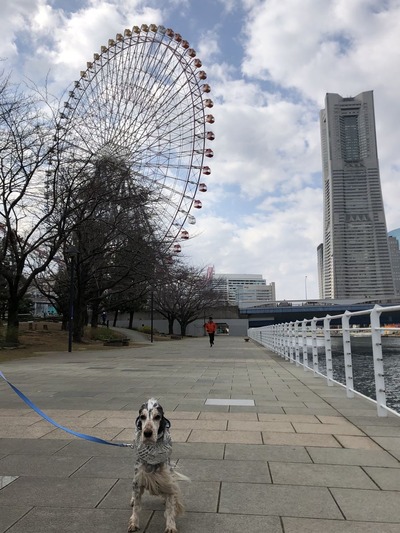 190217