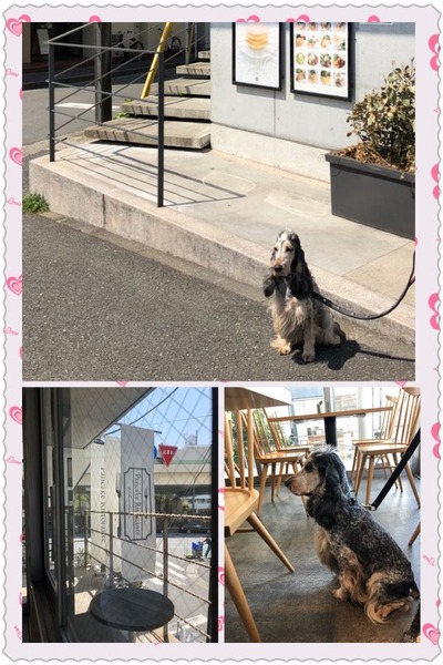 190406-6
