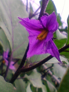 20100728144739