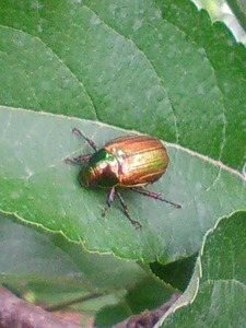 20100721093203