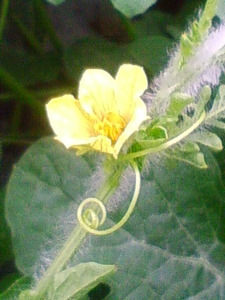 20100728144833