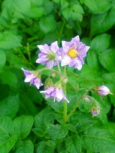 20100728145146