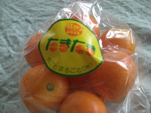 CIMG3772