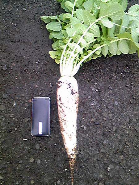 farm�纬