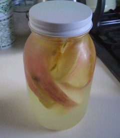リンゴ酵母