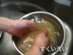 すくい洗い 大