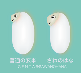 玄米君