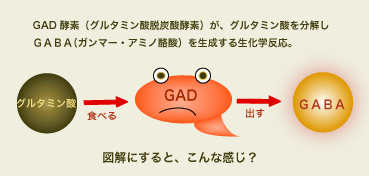GAD変換
