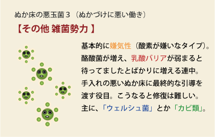 かび