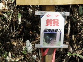 くま