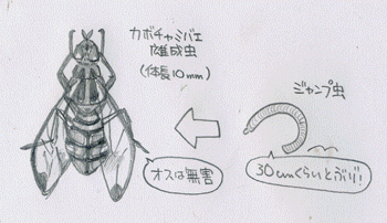 みばえ