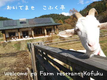 ぽーず