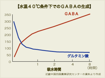 40℃でのGABA生成グラフ