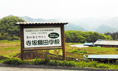 寺坂棚田学校