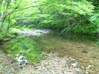 河原