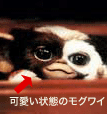 モグワイ