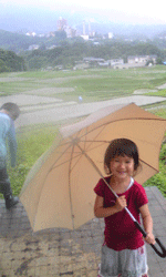 優しい雨