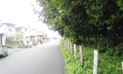 ピアノの森