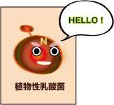 自己紹介