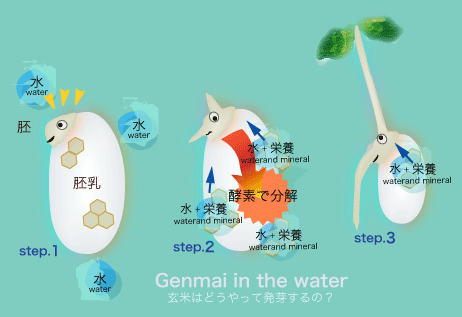 水中反応