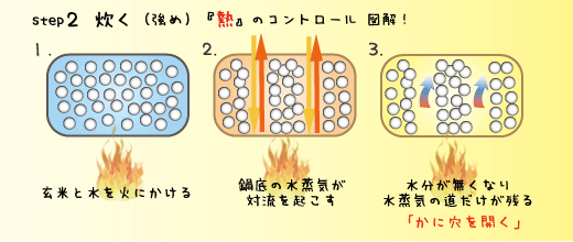 かにあな