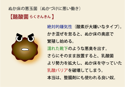 酪酸 (らくさん) - Japanese-English Dictionary - JapaneseClass.jp