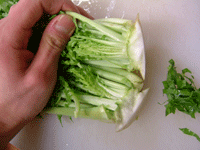 大根葉 根元