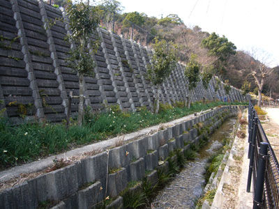 P1020529