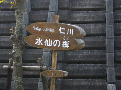 P1020527