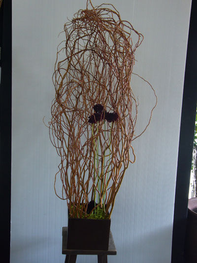 P1020509