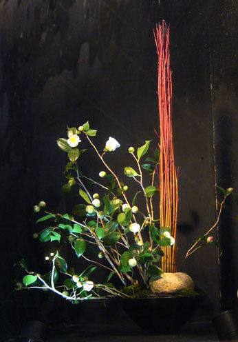 P1020557