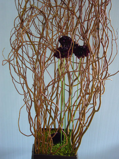 P1020511