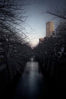 L1000681