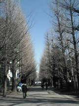 32528caa.jpg