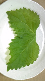 592f9399.jpg