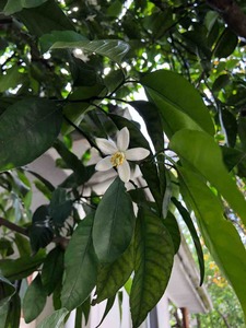 IMG_0908