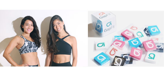 gapfit3