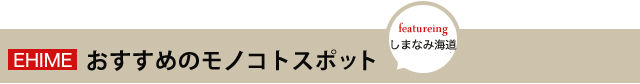 spot_ttl2