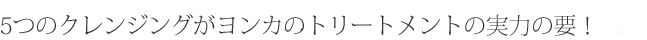 yonkattle2