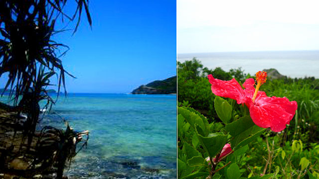 201202okinawa